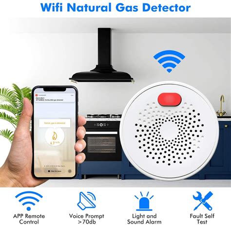 Gas Detector distribute|gas detector for home use.